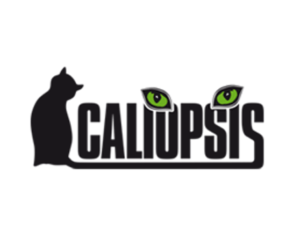 Caliopsis